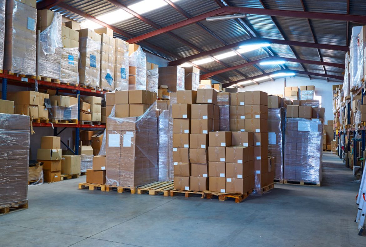 Warehousıng & Dıstrıbutıon